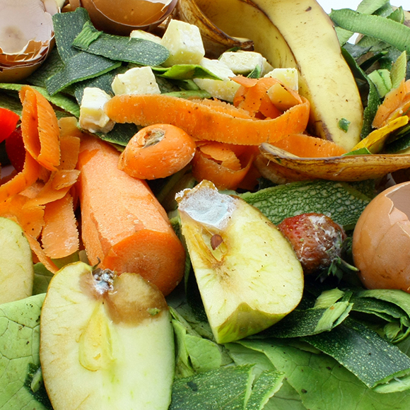Food Waste